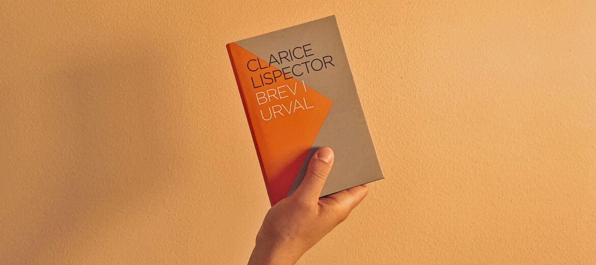 »Brev är spöklika saker.« – läs Hanna Nordenhöks efterord till Clarice Lispectors Brev i urval